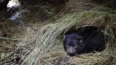 La découverte du voisinage