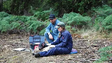 Manny manque à l'appel