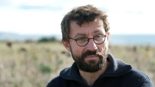 L'île de Rügen : des reflets de craie dans la Baltique