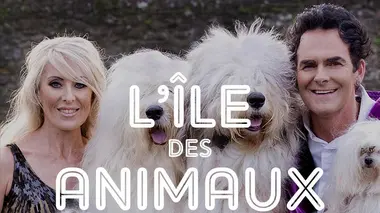 L'île des animaux