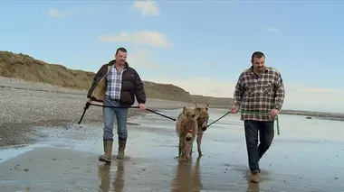 L'île des animaux S01E03