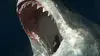 L'île des requins géants