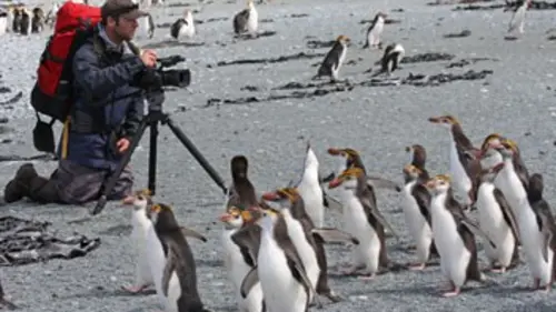 L'île perdue au milieu de nulle part