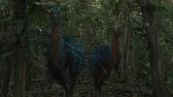 L'île secrète des dinosaures