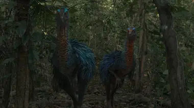 L'île secrète des dinosaures