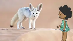 L'imagier animé de Koumi