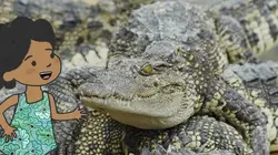 L'imagier animé de Koumi