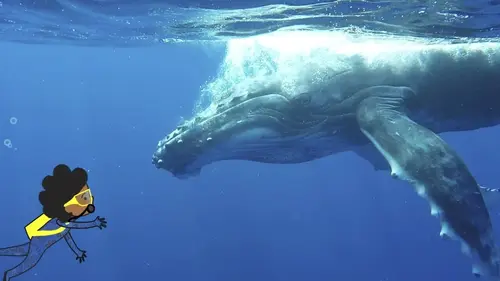 L'imagier animé de Koumi S01E07 Une baleine