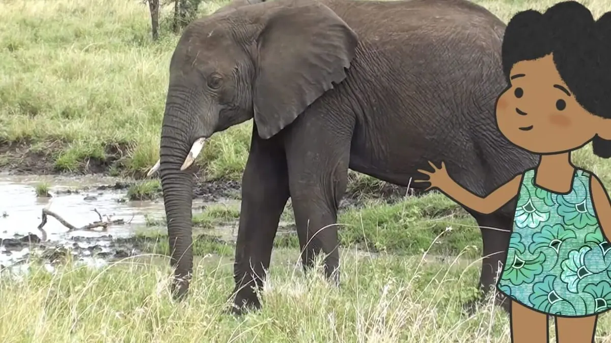 L'imagier animé de Koumi S01E16 Un elephant