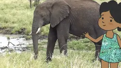 L'imagier animé de Koumi S01E16 Un elephant