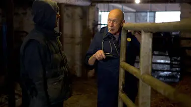 Nouvelles ruses, pour nouveau chien