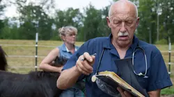 L'incroyable Dr Pol Des taureaux en colère