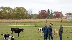 L'incroyable Dr Pol Amour d'automne