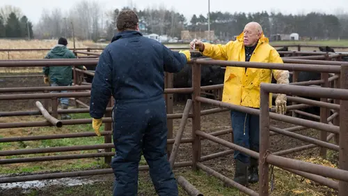 L'incroyable Dr Pol Pol-tergeist en streaming