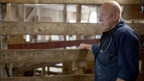 Casting L'incroyable Dr Pol Des nerfs d'acier