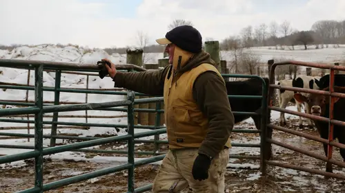 Casting L'incroyable Dr Pol La tirelire canine