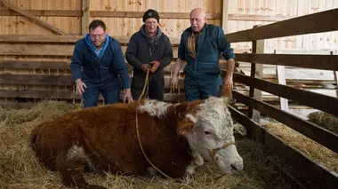 Le temps du printemps