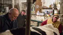 L'incroyable Dr Pol Dure journée