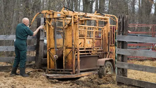 L'incroyable Dr Pol Le royaume des chiens