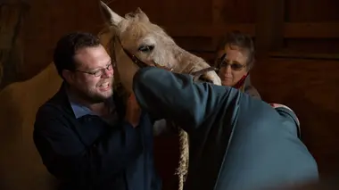 Un pour tous et tous pour un