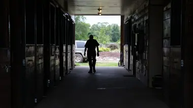 La clinique du bizarre