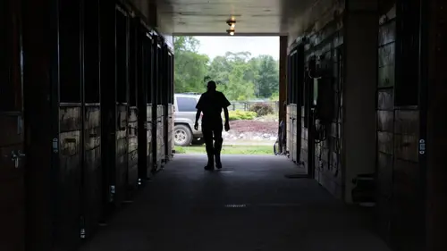 L'incroyable Dr Pol La clinique du bizarre