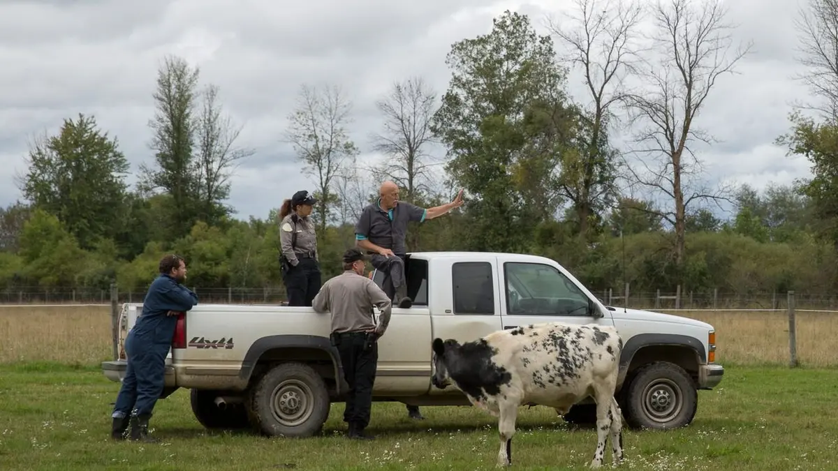 L'incroyable Dr Pol Cache-cache