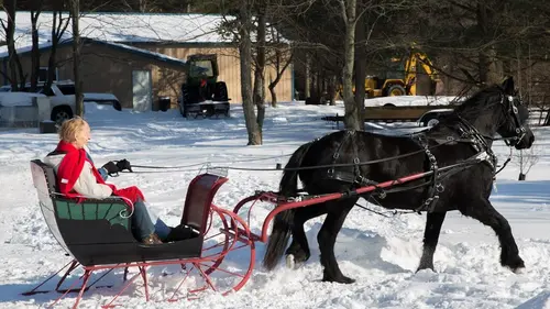 L'incroyable Dr Pol Hiver glacial chez les Pol