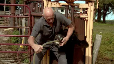 Une nouvelle recrue à la clinique