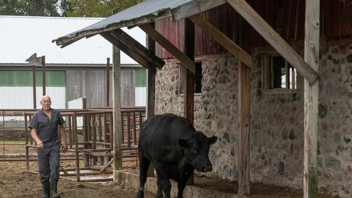 L'incroyable Dr Pol Après l'effort, le réconfort