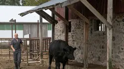 L'incroyable Dr Pol Après l'effort, le réconfort