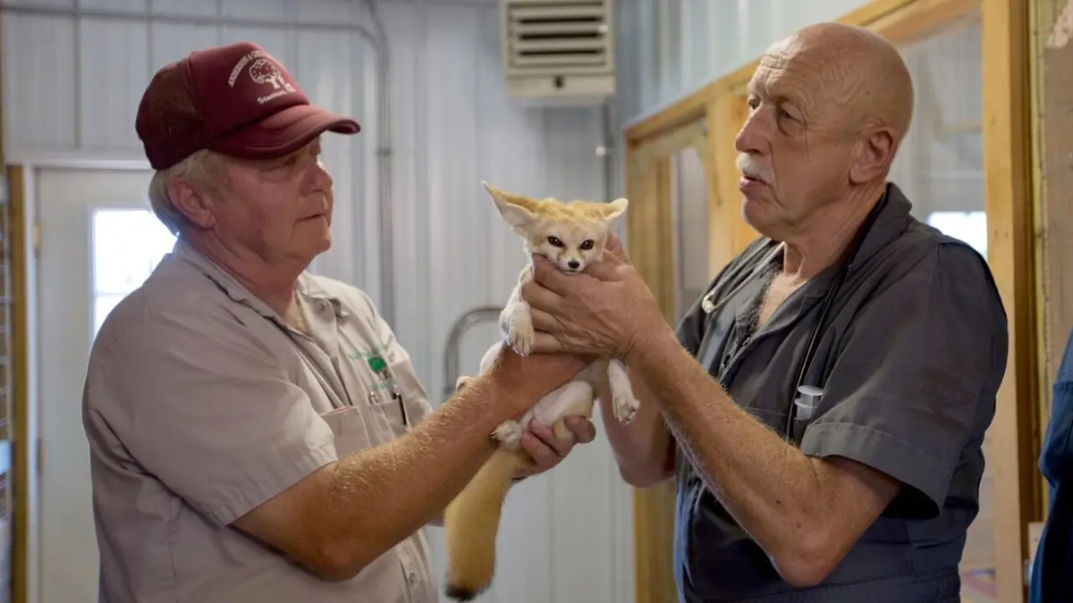 L'incroyable Dr Pol Thanksgiving