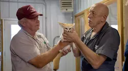 L'incroyable Dr Pol Thanksgiving