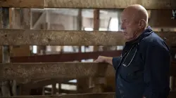 L'incroyable Dr Pol Pris au dépourvu