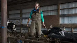 L'incroyable Dr Pol Rien n'arrête le Dr Emily
