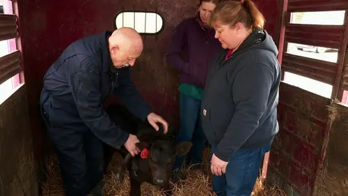 L'incroyable Dr Pol Dr Folamour est de retour