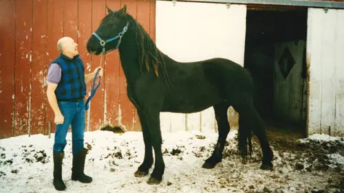 L'incroyable Dr Pol Un minuscule poulain