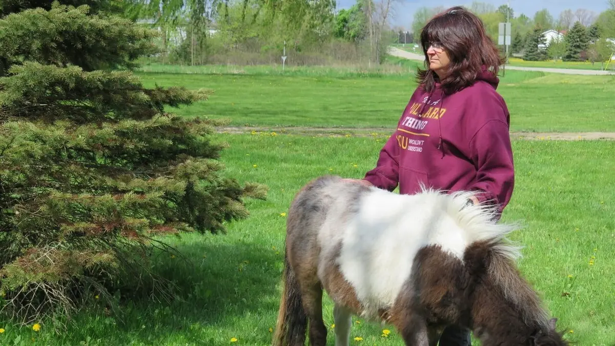 L'incroyable Dr Pol Rodéo