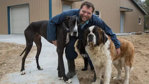 L'incroyable Dr Pol Sauvetage de la SPA