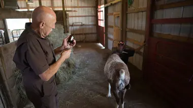 Joyeux anniversaire !