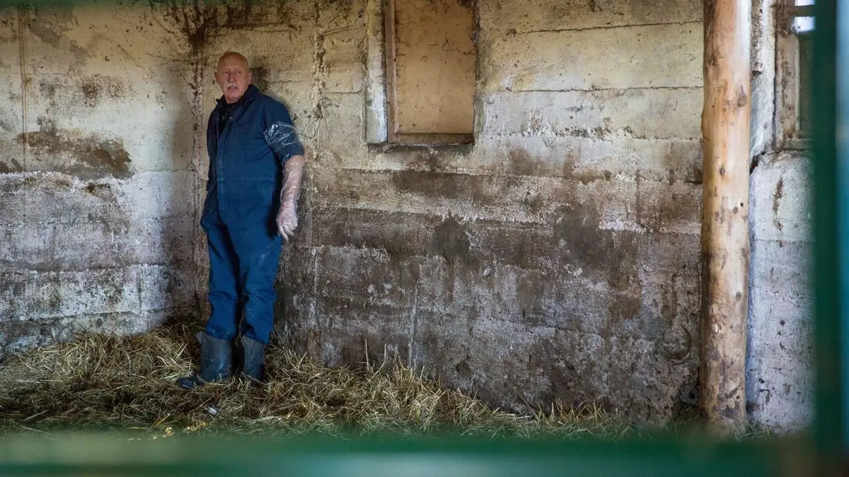 L'incroyable Dr Pol Bienvenue aux Pays-Bas