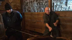 L'incroyable Dr Pol Du bon miel pour tous