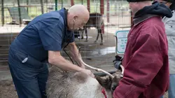 L'incroyable Dr Pol Vétérinaire et maman