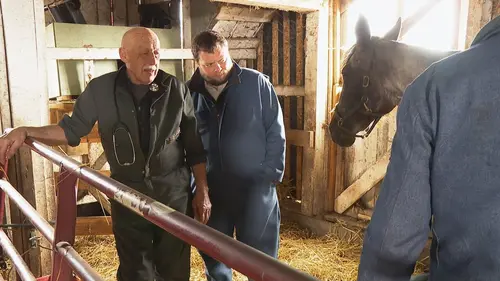 L'incroyable Dr Pol Le retour du printemps