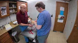 L'incroyable Dr Pol La fête nationale