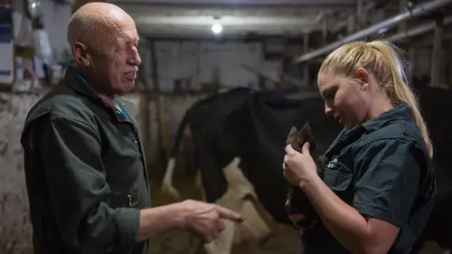 Casting L'incroyable Dr Pol Délicieux vermifuge