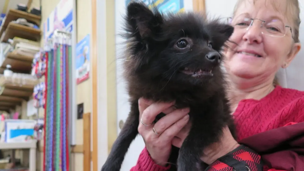 L'incroyable Dr Pol Coup de froid