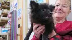 L'incroyable Dr Pol Coup de froid