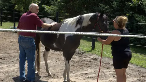 L'incroyable Dr Pol Un sacré bazar