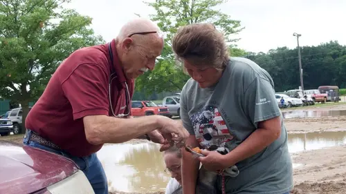 L'incroyable Dr Pol Champ de foire en streaming
